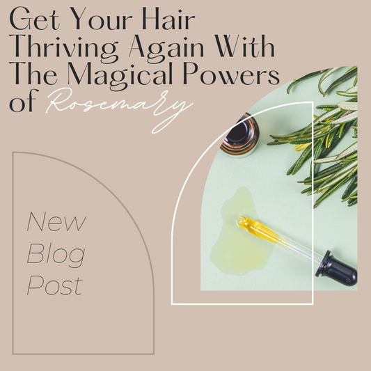 Get Your Hair Thriving Again With The Magical Powers of Rosemary