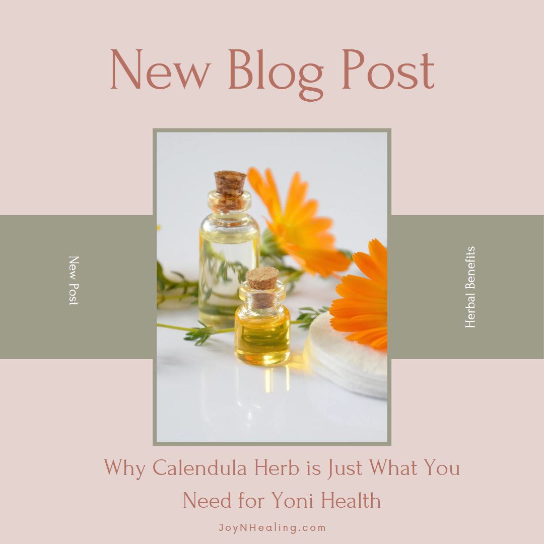 Why Calendula Herb is Just What You Need for Yoni Health