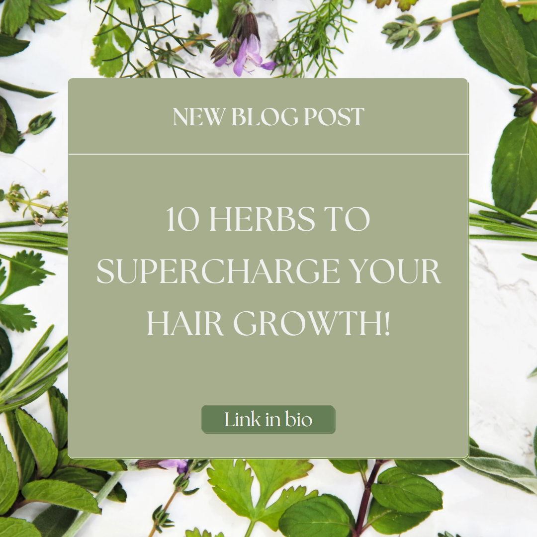 10 Herbs To Supercharge Your Hair Growth!